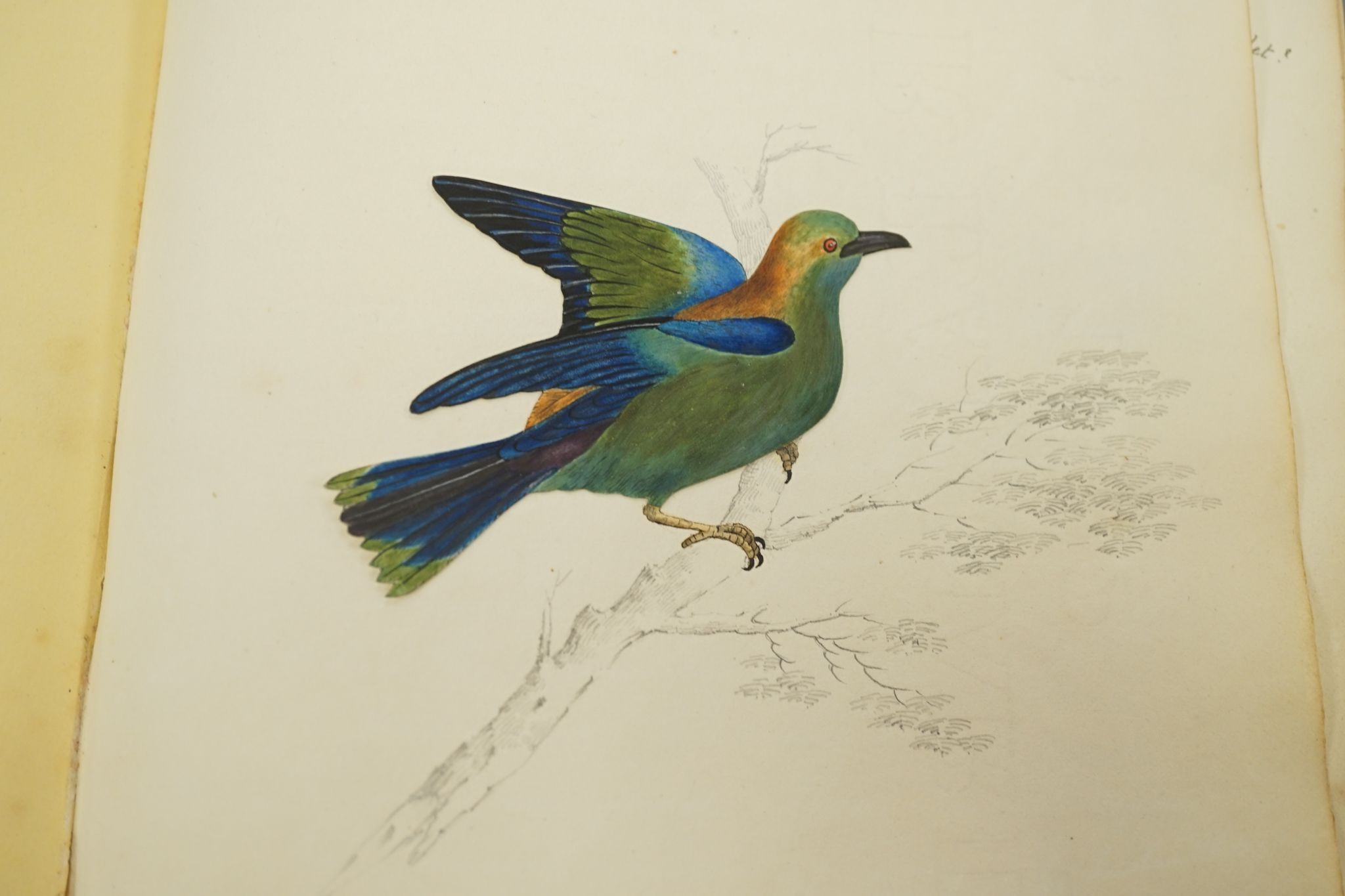 An early 19th century album of 152 watercolours, and pencil and ink drawings, including natural history still life subjects, land and seascapes and vignettes, many with accompanying verse and prose, by approximately 30 d